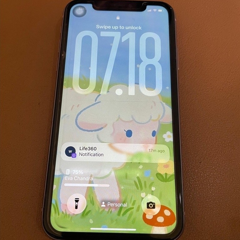 Iphone 11 second inter
