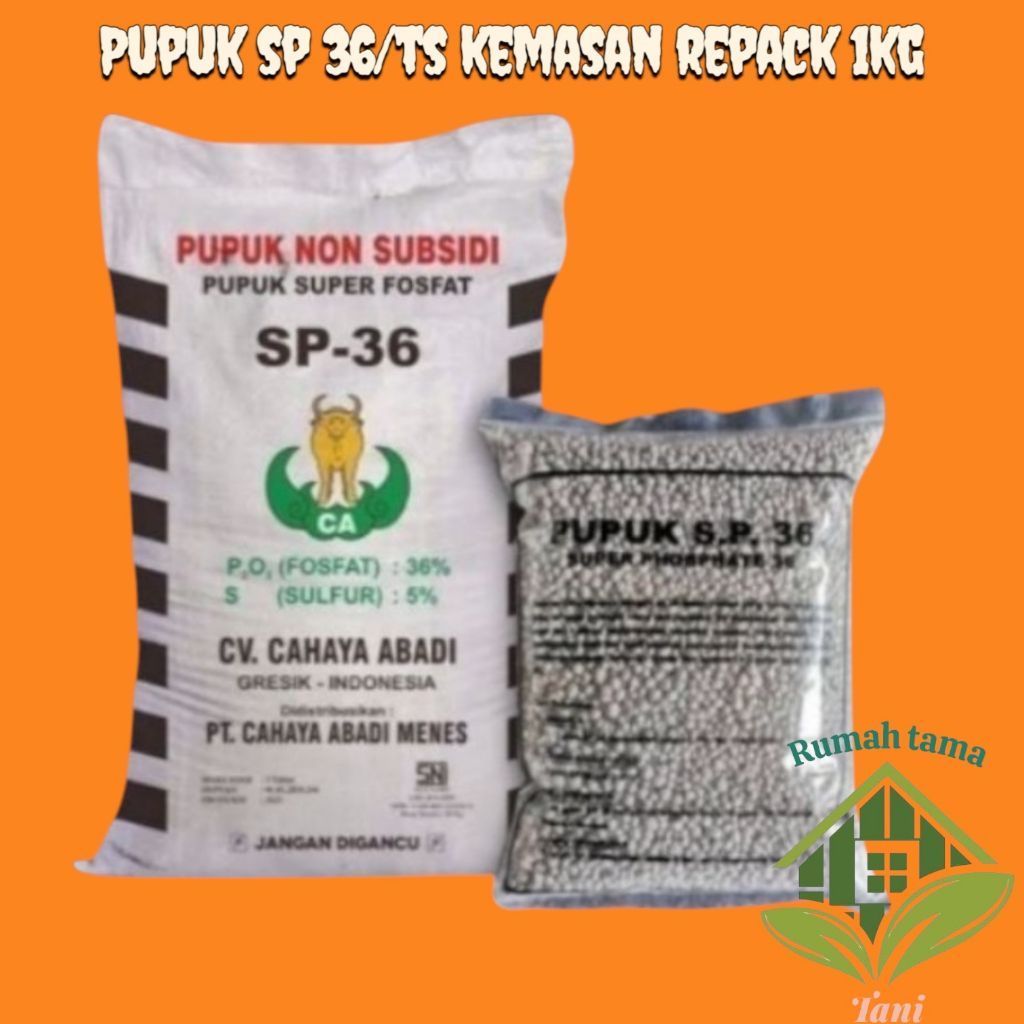 Pupuk Fosfor TSP SP36 1 kg - Tingkatkan Produksi Tanaman dengan Fosfor Tinggi