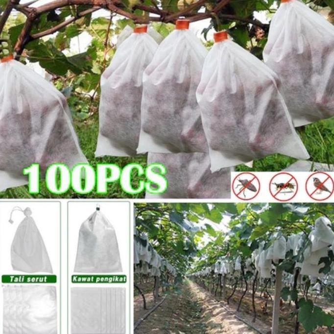 APITOYA 100Pcs Pembungkus Buah  Pandang Fruit Cover Anggur Kelengkeng Waterproof Easy Grow Fruit Cov