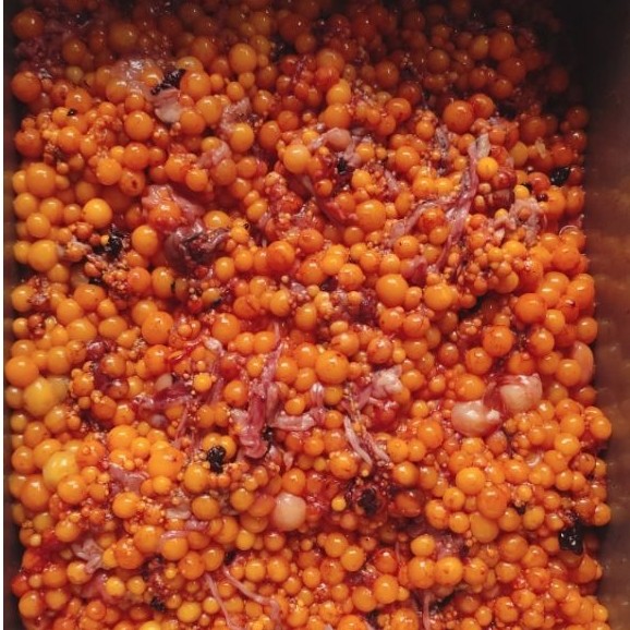 telur bulus 500 gram