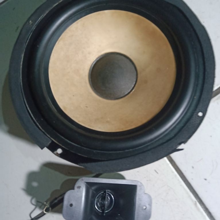 Speaker Polytron PAS 28..8 in dan Twitter..