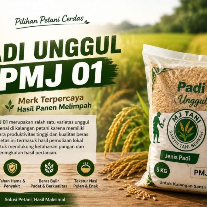 BIBIT PADI UNGGUL PMJ 01 5KG ORIGINAL