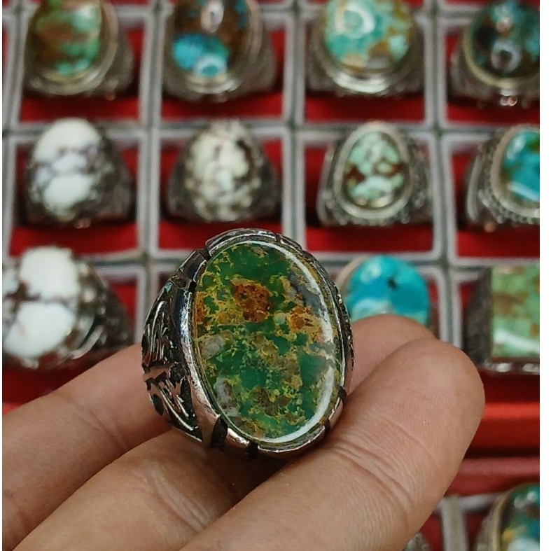 pirus Persia ijo kedondong