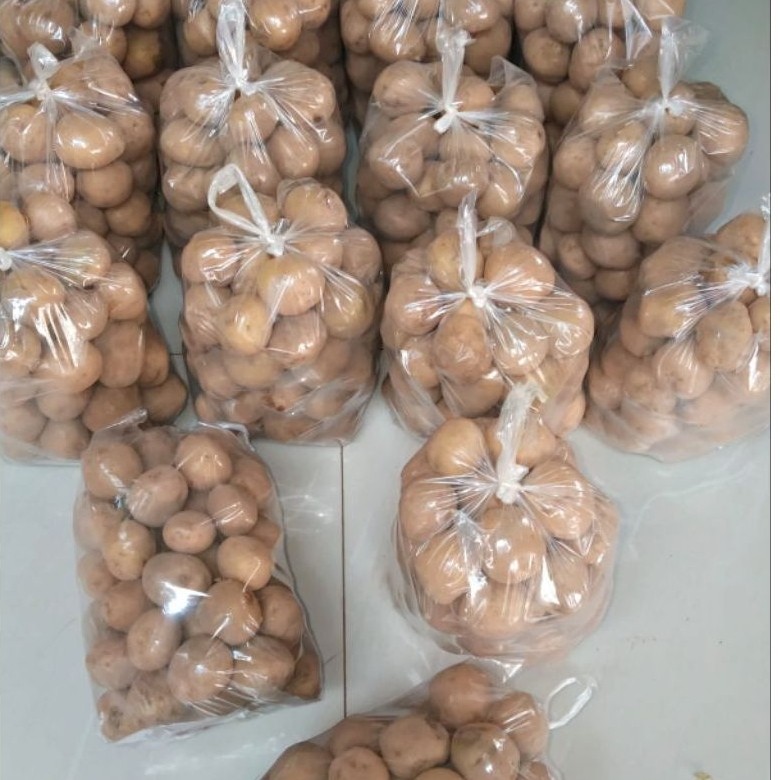 Kentang Dieng 1 kg Kecil-Sedang / Kentang Dieng