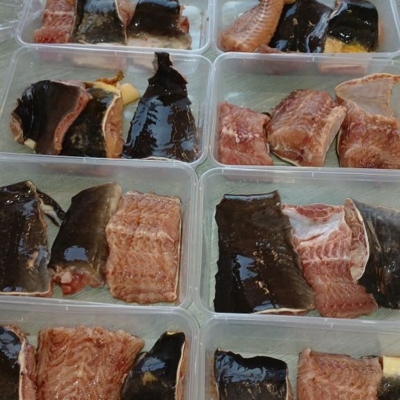 Lele Fillet Jumbo 200g | Ikan Lele Fillet Segar Tanpa Duri | Lele Bersih Siap Masak | Frozen