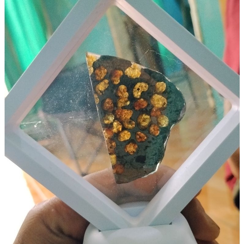 pallasite