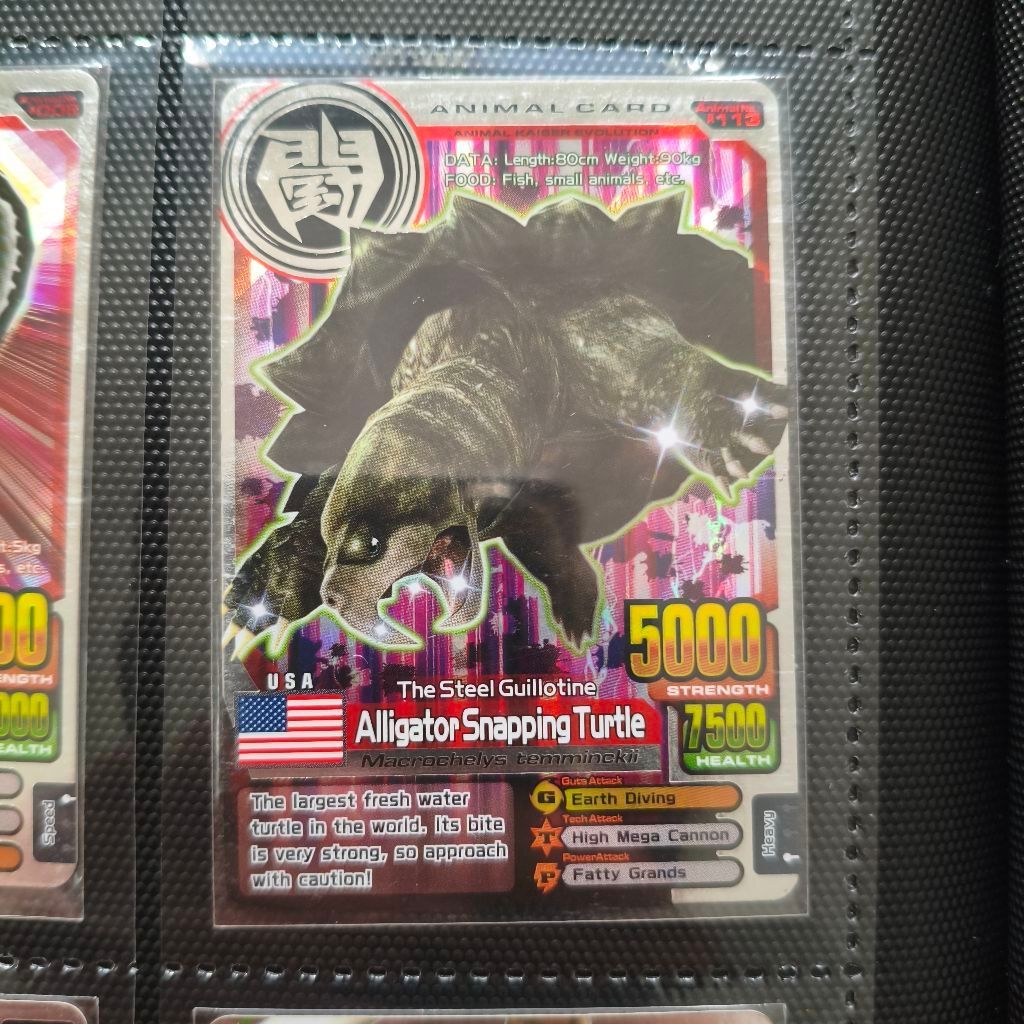 Animal Kaiser Silver Card Alligator Snapping Turtle Evo 8 DX