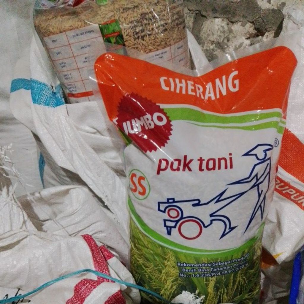 ciherang jumbo( expl bulan januari 2027)