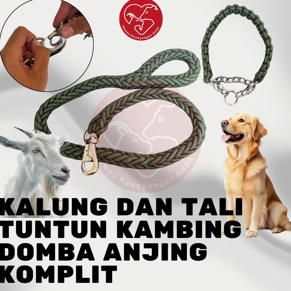 Kalung Dan Tali Tuntun Kambing Domba Kuat Dan Praktis Aksesoris