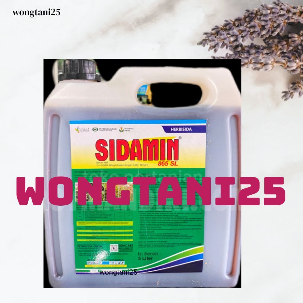 Sidamin 5liter herbisida dma SIDAMIN 5LITER 865SL mengendalikan gulma pada tanaman