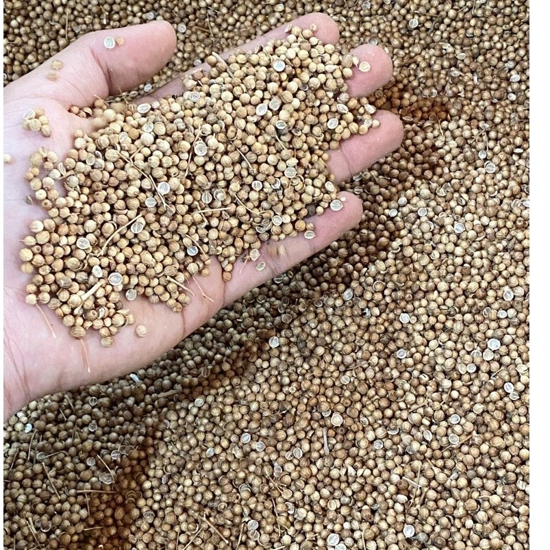 Ketumbar 1kg / Ketumbar ori / Ketumbar Original 1kg