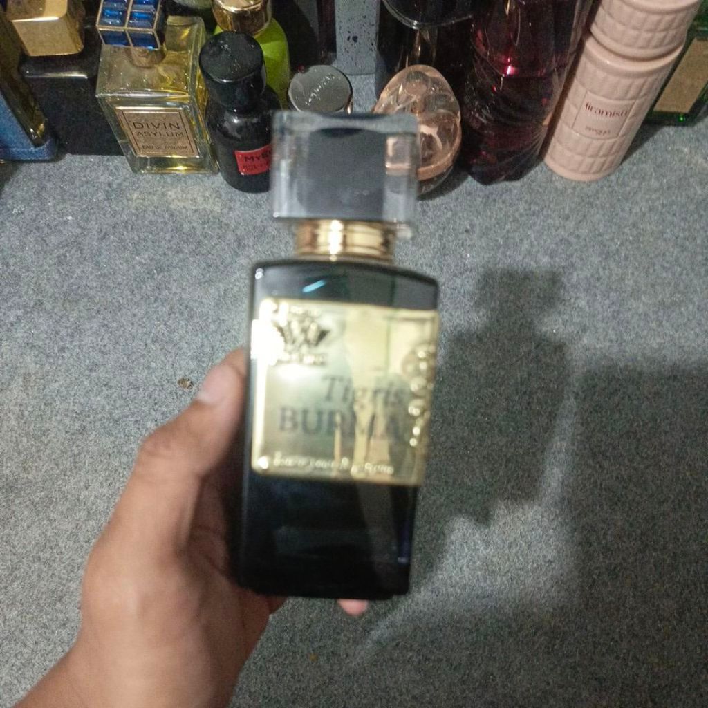 Tigris Burma