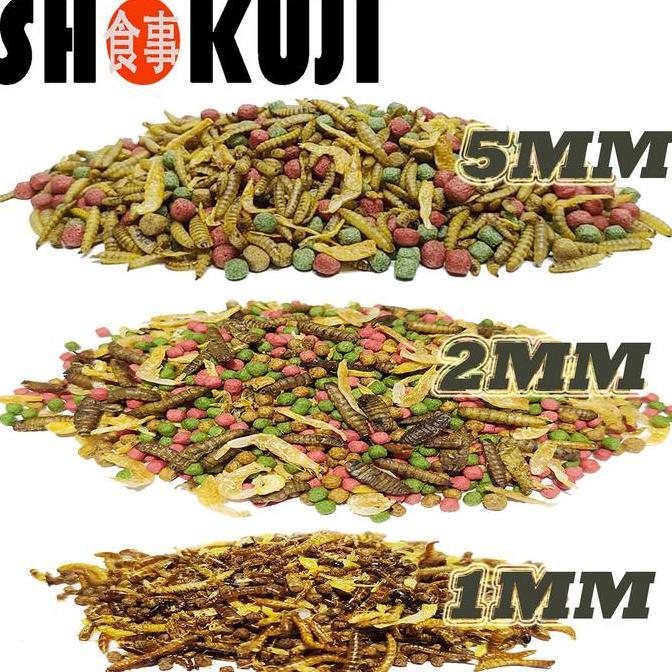 3KG SHOKUJI PELET BRAZIL RES RAZORBACK MAKANAN KURAKURA AIR BRASIL DAMER CST PIPUT AMBON PAKAN PREMI