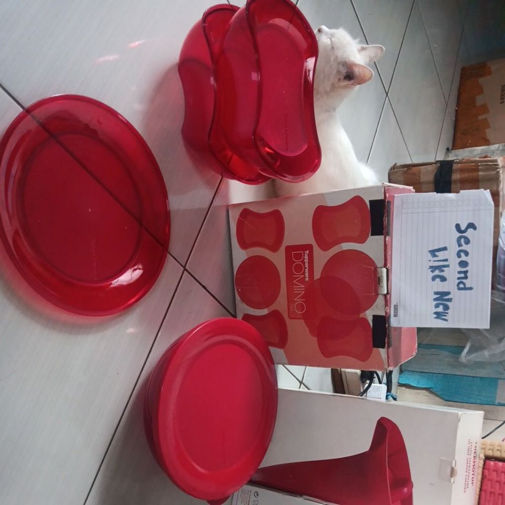 Domino set tupperware
