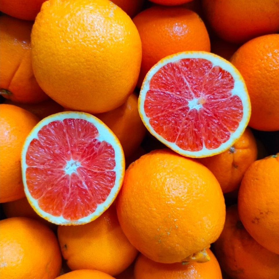 Jeruk Sunkist Cara Cara Australia Premium Dominan Manis Seger Juicy Segar dan Berkualitas Termurah T