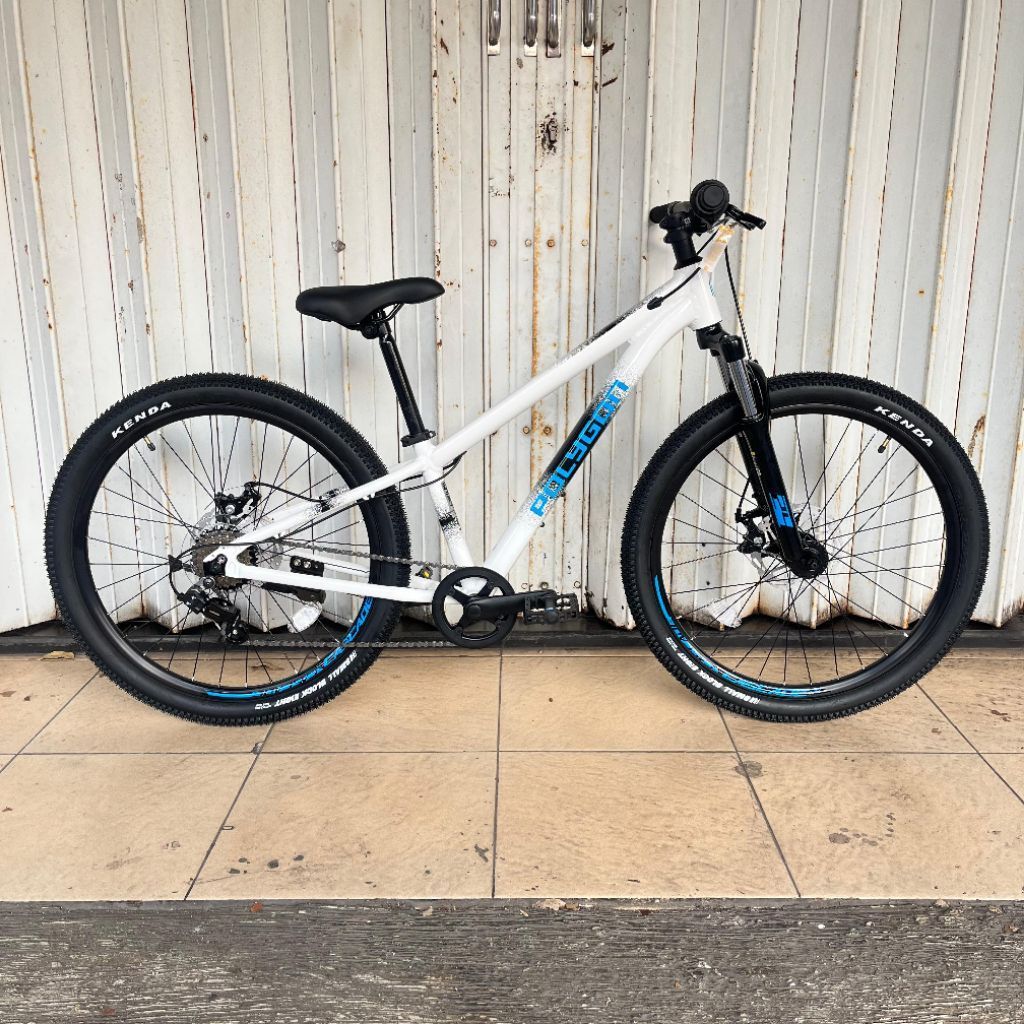 Sepeda MTB Polygon Cascade 24