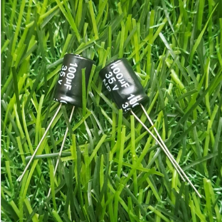 elco 100uf 35v bipolar nonpolar