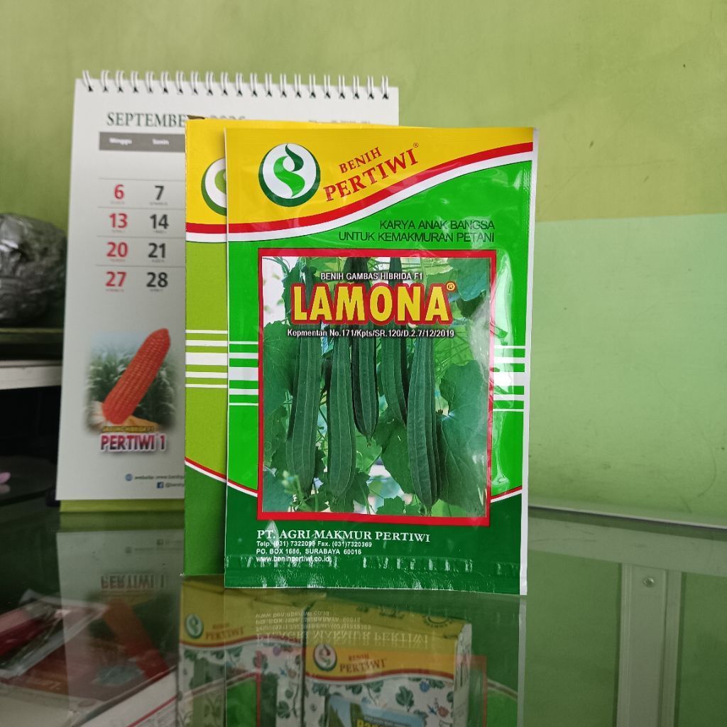 Benih Gambas Oyong Hibrida F1 LAMONA Benih Pertiwi 10gram