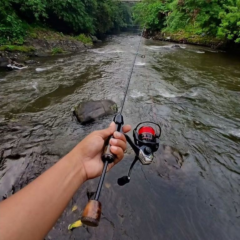 joran spinning seasir stream 2-6lb
