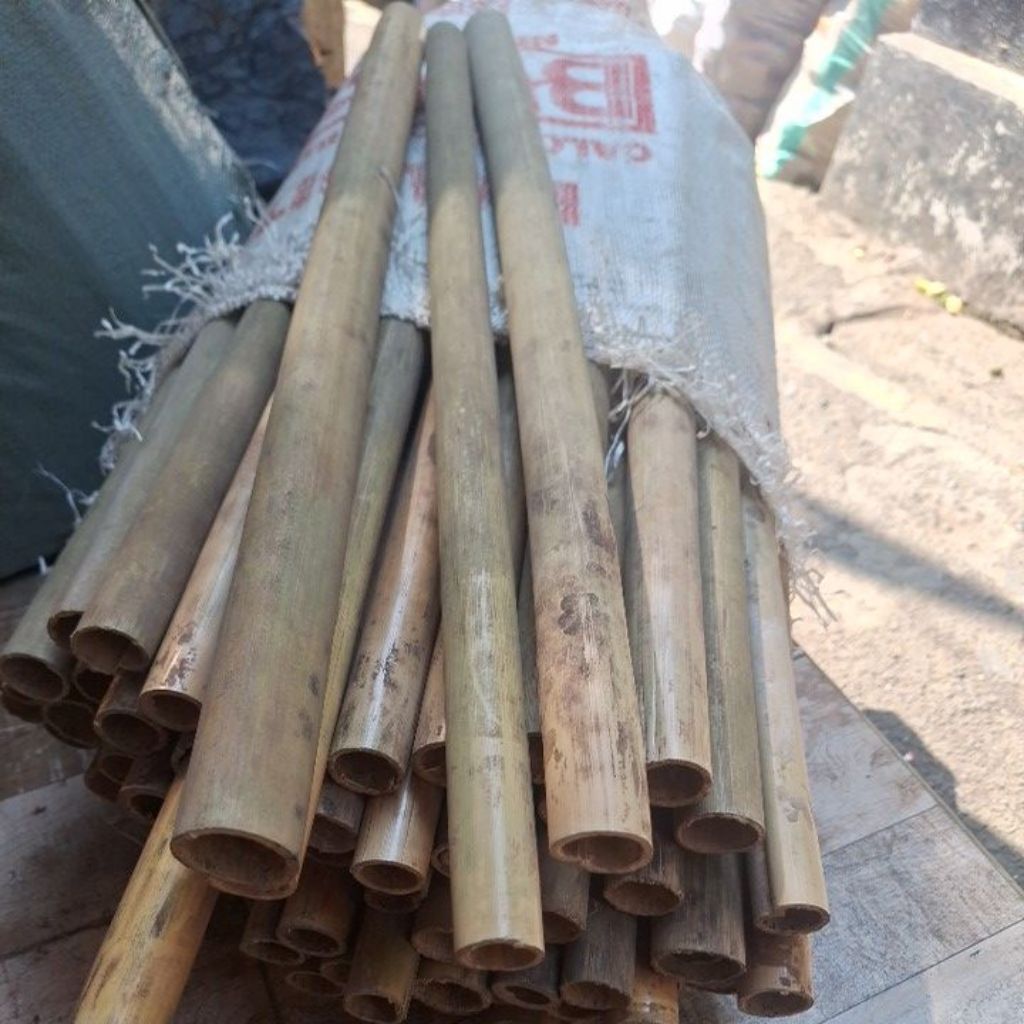 Bambu tamiang bahan suling atau layangan