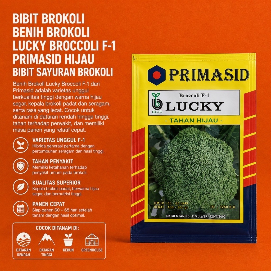 BIBIT BROKOLI BENIH BROKOLI LUCKY BROCCOLI F-1 PRIMASID HIJAU BIBIT SAYURAN BROKOLI