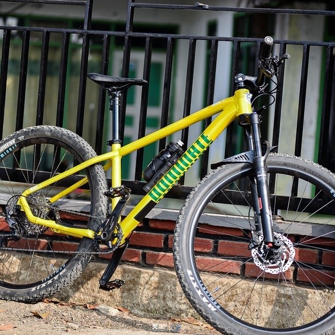 dominate axc 2 comp r