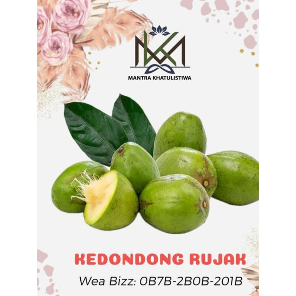 KEDONDONG RUJAK SEGAR BUAH KEDONDONG RUJAK FRESH