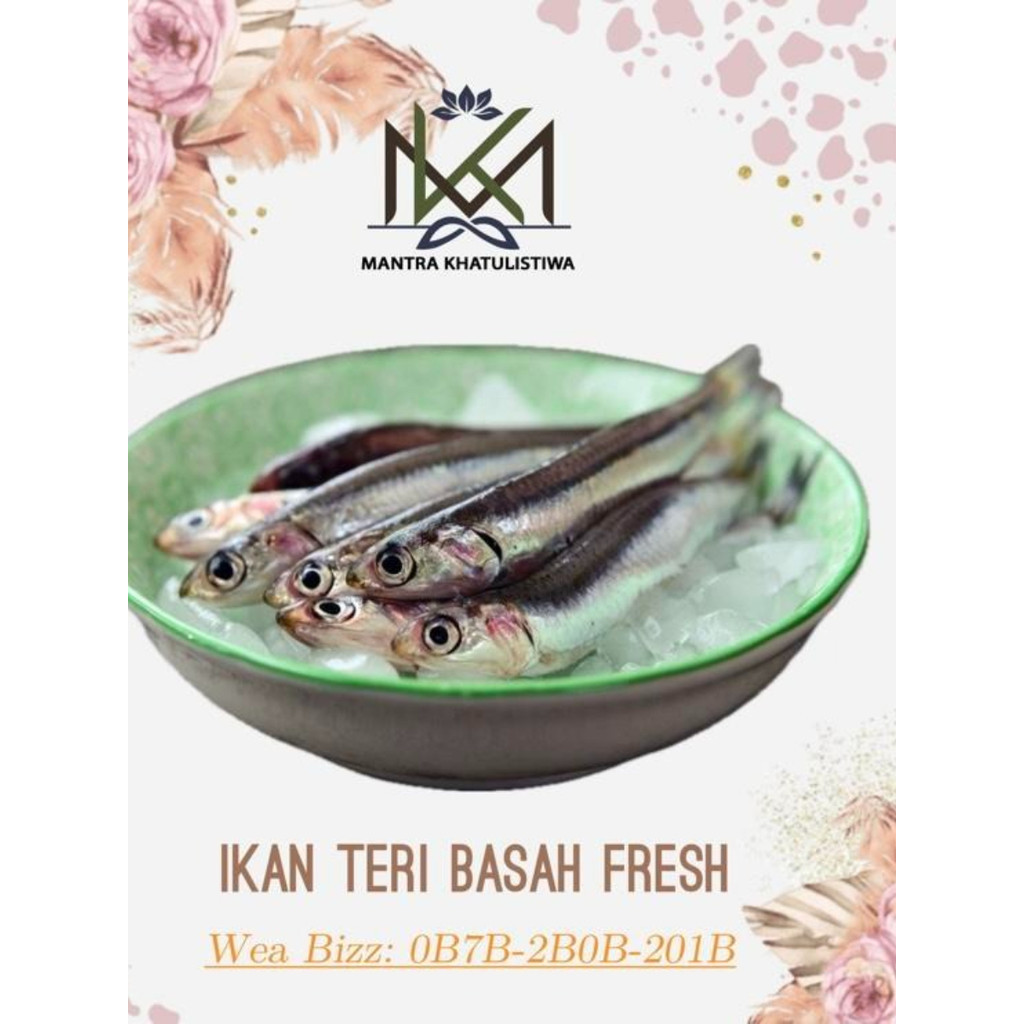 IKAN TERI BASAH FRESH IKAN SEGAR IKAN TERI BASAH SEGAR