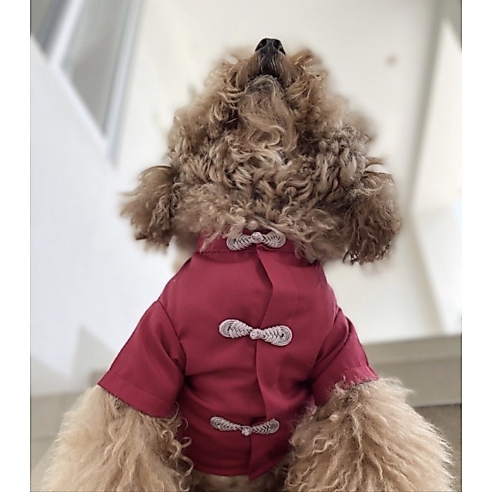 Baju Anjing Jantan Imlek Red Qipao