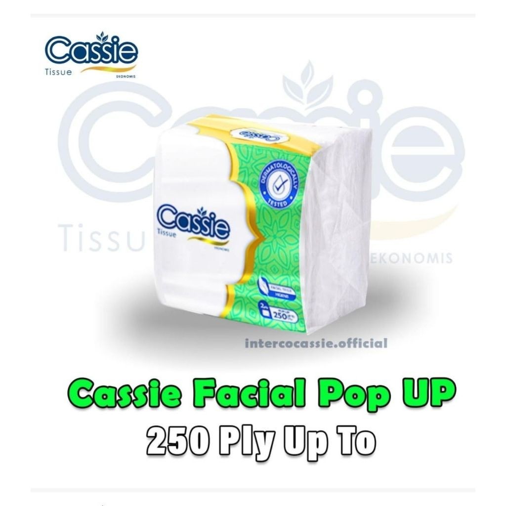 Cassie pop up 50pack