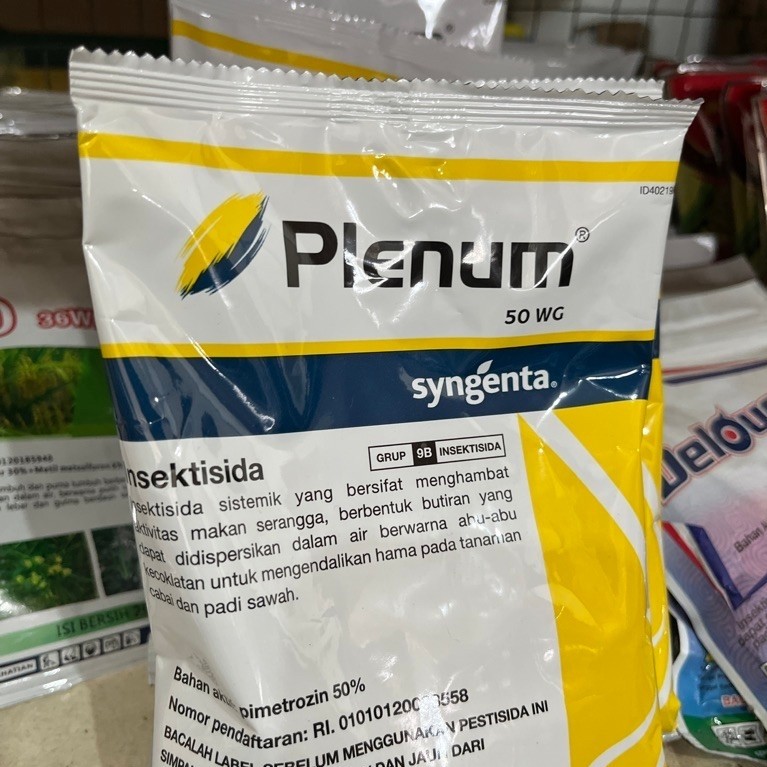plenum100gr