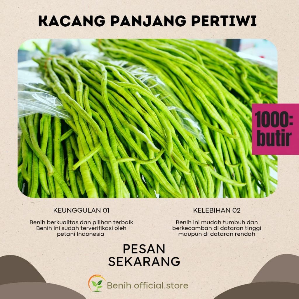kacang panjang pertiwi