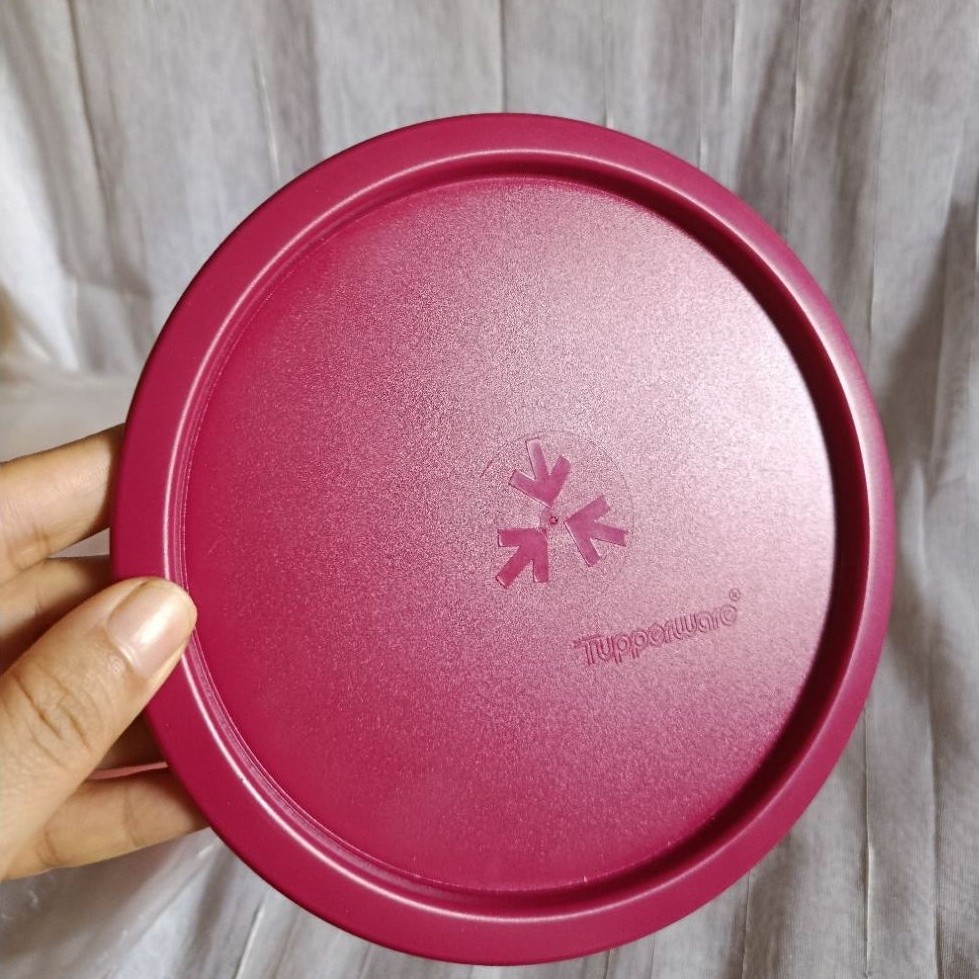 Seal Medium Mosaic Canister Tupperware