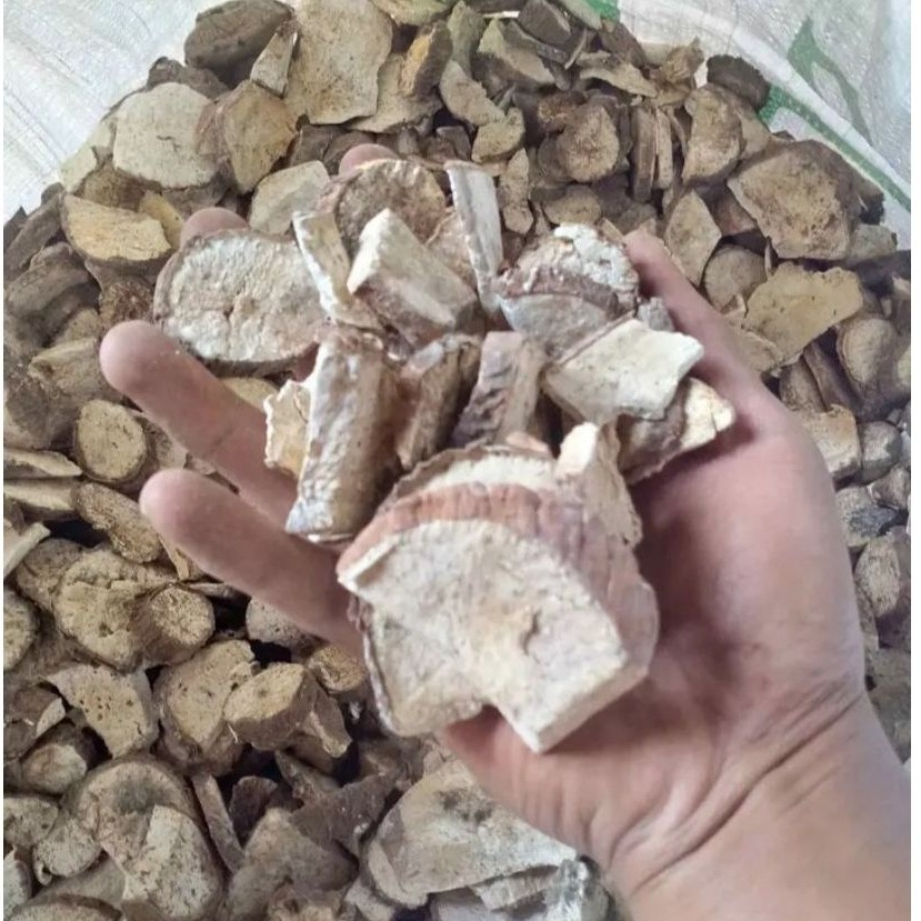 Gatot Singkong Kering Asli 1Kg - Gaplek Gatot