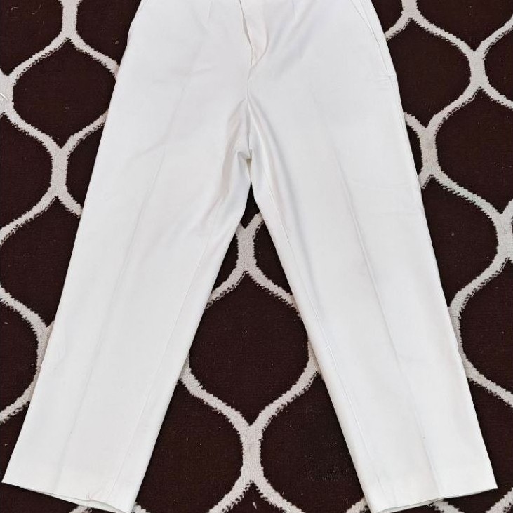 Uniqlo Ezy Ankle Pants
