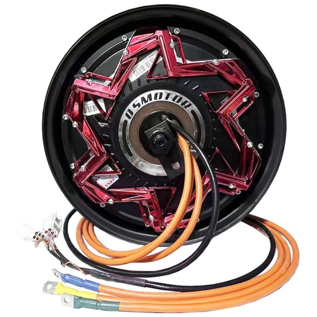 QS Motor 5000W BLDC 12 Inch Kabel 4