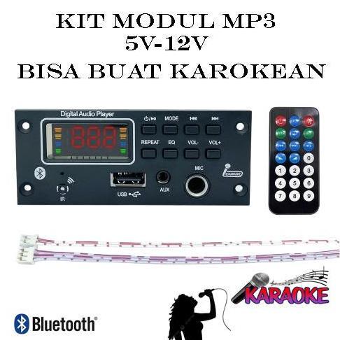 DS225 - kit modul mp3 Bluetooth TF USB FM mikrofon AUX MP3 Player DC 12V Karaoke