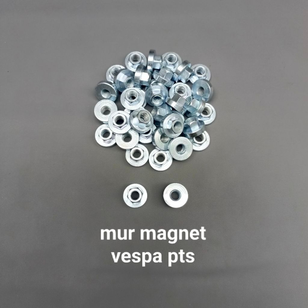 mur magnet vespa pts