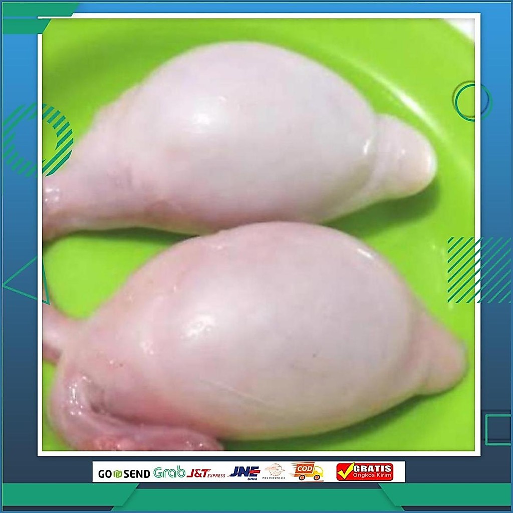 Torpedo (Kelamin) Kambing Gosend