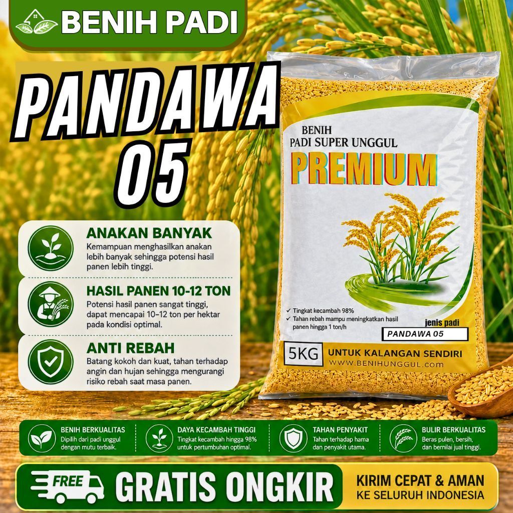 Benih padi unggul PANDAWA P05 kemasan 5kg original padi unggul berkualitas