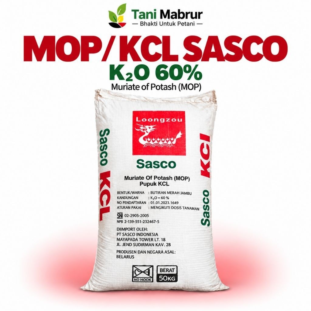 MOP KCL Sasco 50 Kg | Pupuk Kalium K2O 60% | Muriate of Potash