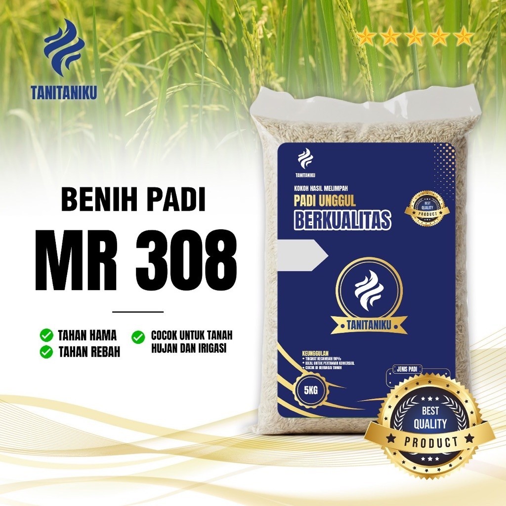 Benih padi bibit padi MR308 kualitas premium kemasan 5 kg