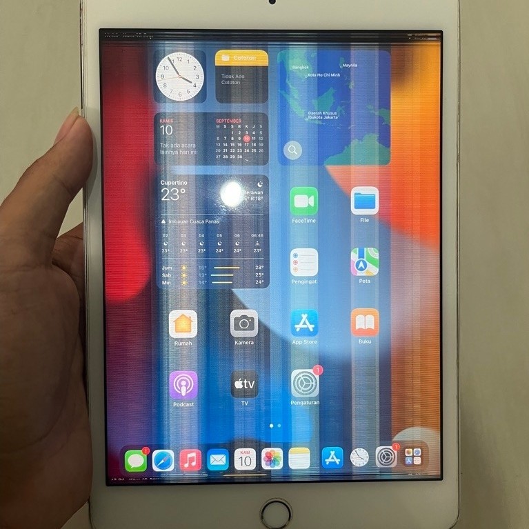 iPad Mini 4 16GB (Bahan minusan)