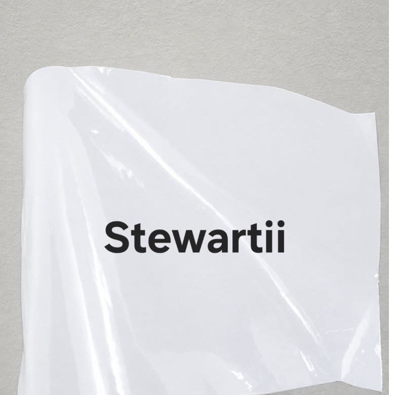 Sticker Stewartii