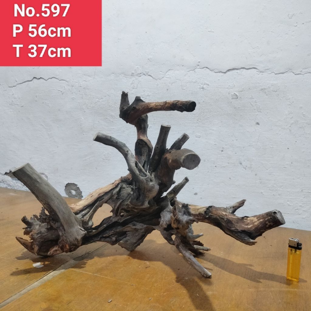 pohon santigi Laut akar santigi laut dekorasi tangkringan hewan peliharaan 597