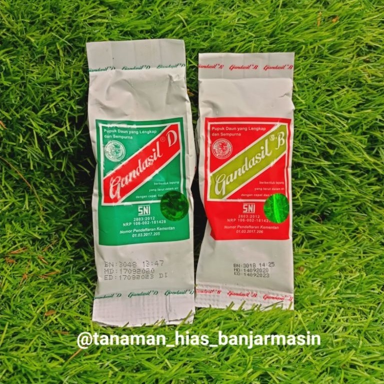 gandasil D dan gandasil B