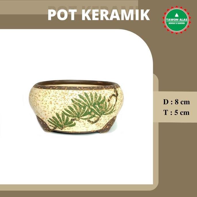 Pot Bonsai Keramik Mame Bulat - Model Terbaru