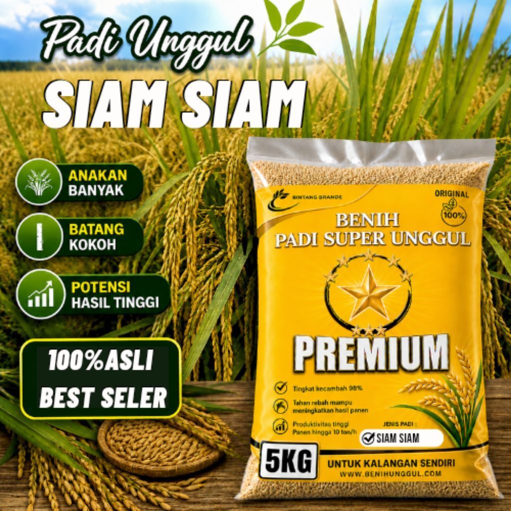 benih padi padi siam siam kemasan 5 kg