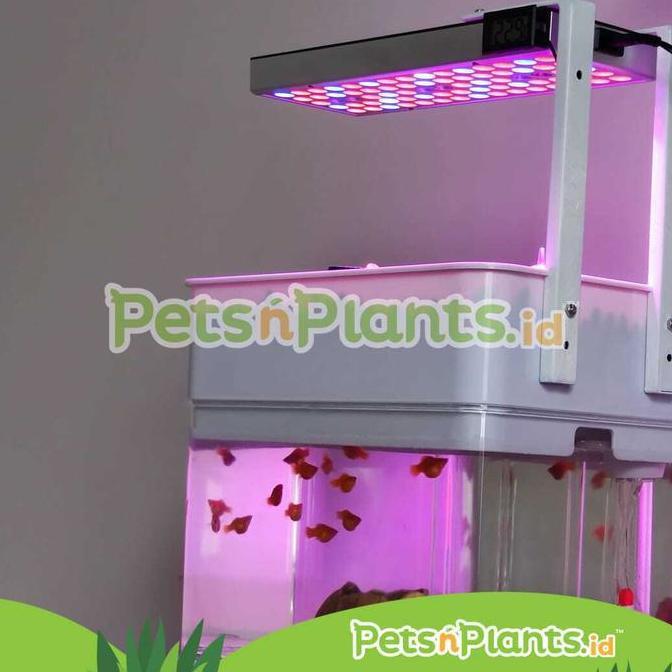 NEW Akuaponik Indoor - Akuarium Akrilik + LED Lampu Tanaman Hidroponik
