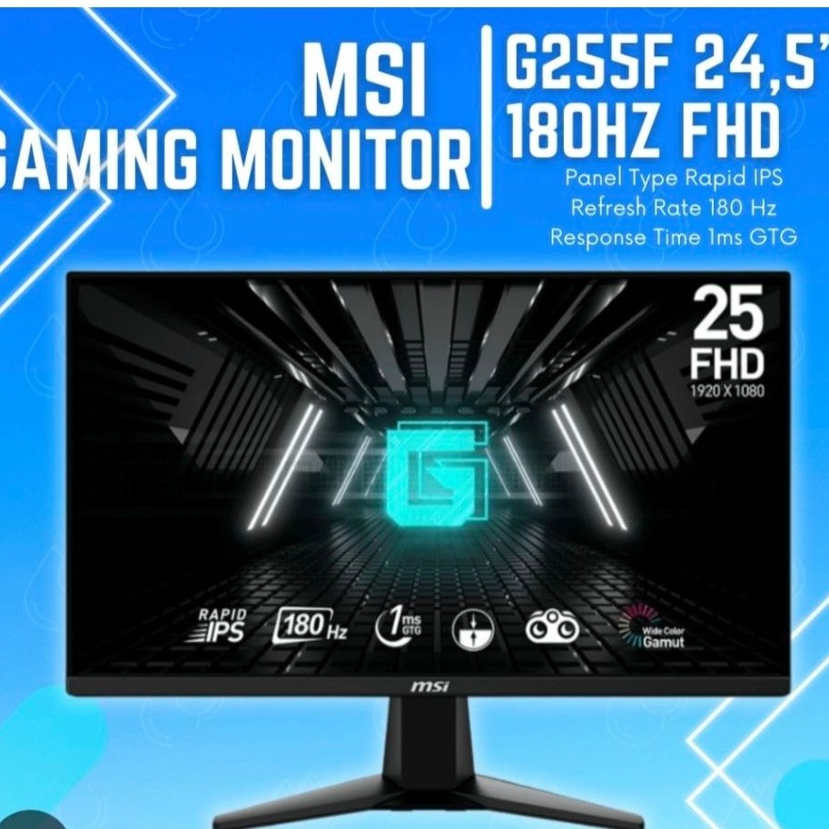 Monitor Gaming MSI MP251 E2 24.5